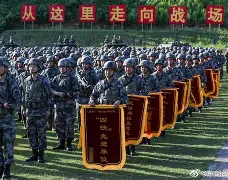 猛虎队士气高涨，力求延续良好状态的简单介绍