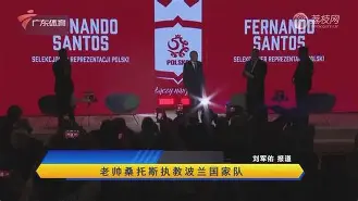 包含波兰国家队表现不佳，遗憾止步八强的词条